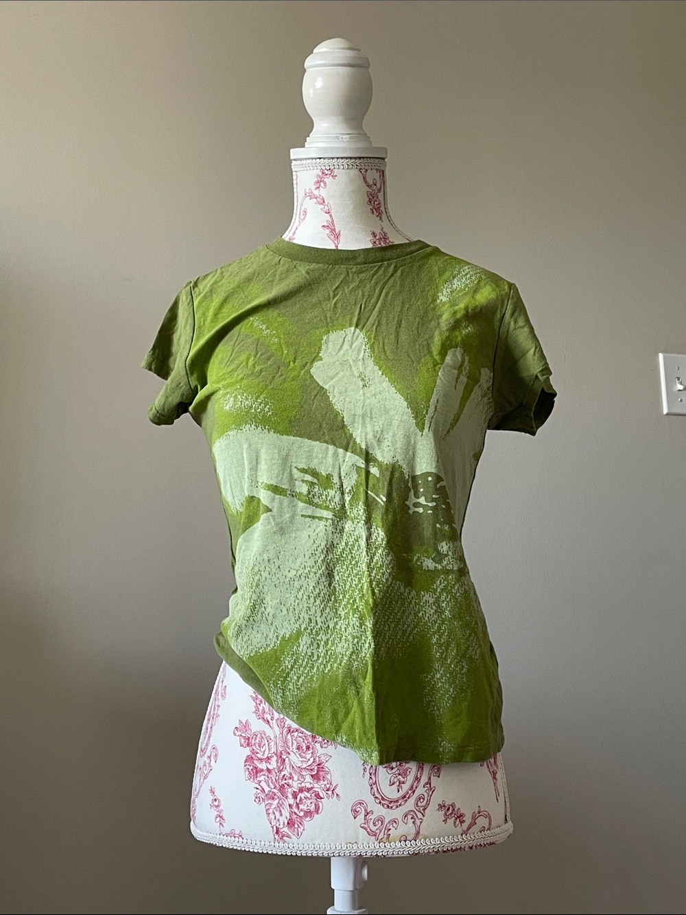 BDG Urban Outfitters Green Graphic Women's Baby-Tee